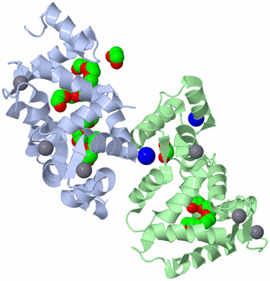 Image Asymmetric Unit