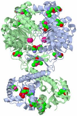 Image Asym./Biol. Unit