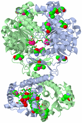 Image Asym./Biol. Unit - sites