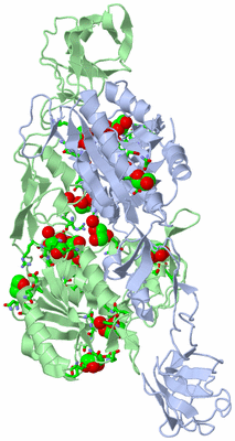 Image Asym./Biol. Unit - sites