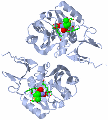 Image Biol. Unit 1 - sites