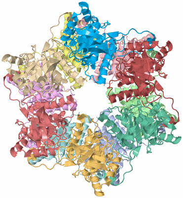 Image Asymmetric Unit