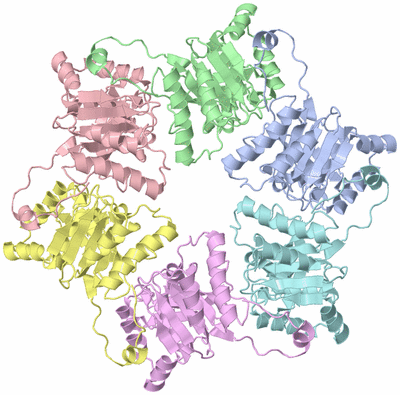 Image Biological Unit 1