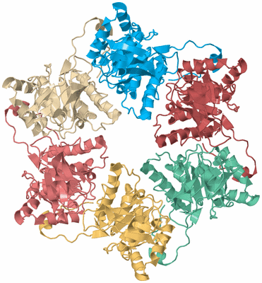 Image Biological Unit 2