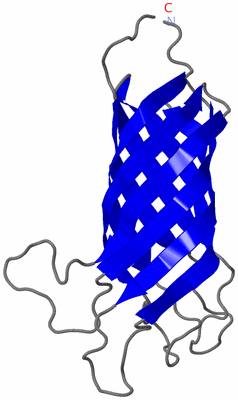 Image NMR Structure - model 1