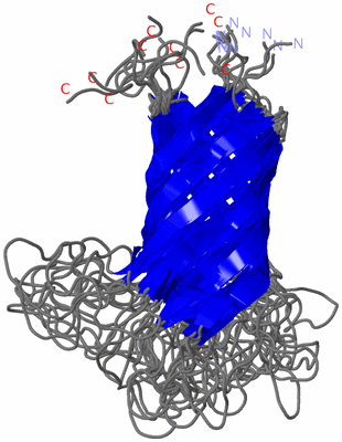 Image NMR Structure - all models