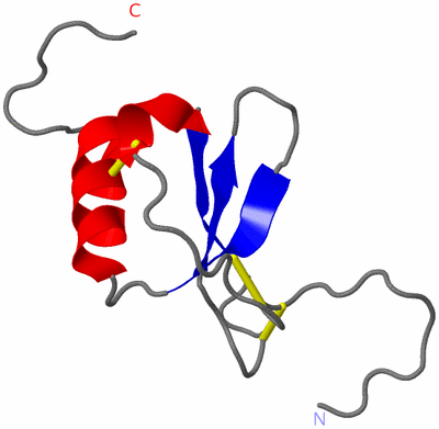 Image NMR Structure - model 1