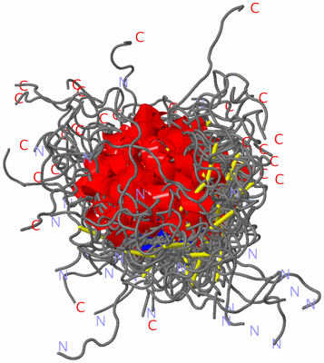 Image NMR Structure - all models