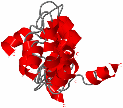 Image NMR Structure - all models