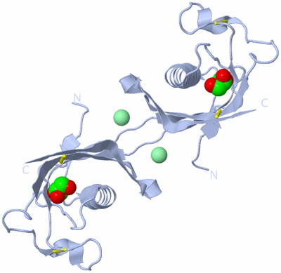 Image Biological Unit 1