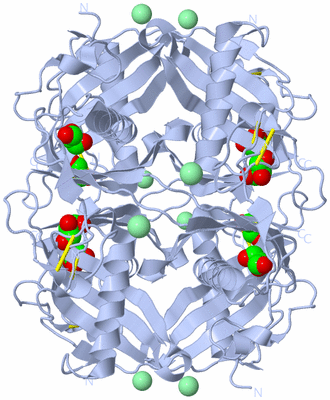 Image Biological Unit 2