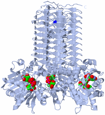 Image Biological Unit 1