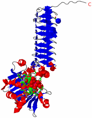 Image Asym. Unit - sites