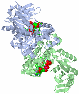 Image Asym./Biol. Unit - sites