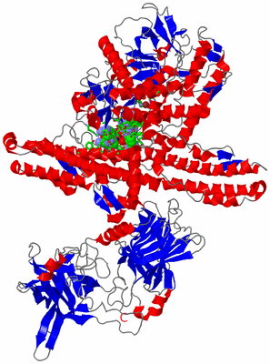 Image Asym./Biol. Unit - sites