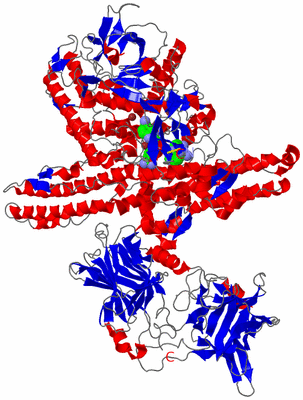 Image Asym./Biol. Unit