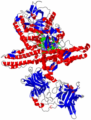 Image Asym./Biol. Unit - sites