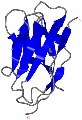 Image NMR Structure - model 1