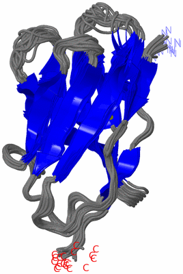 Image NMR Structure - all models