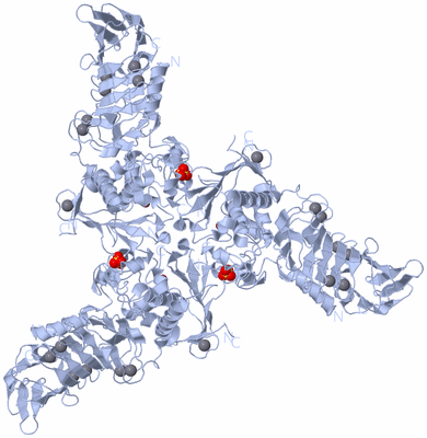 Image Biological Unit 2