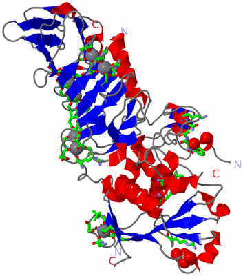 Image Asym. Unit - sites