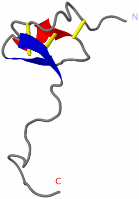 Image NMR Structure - model 1