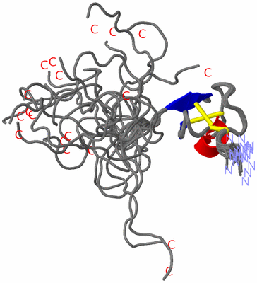 Image NMR Structure - all models