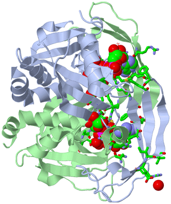 Image Asym./Biol. Unit - sites