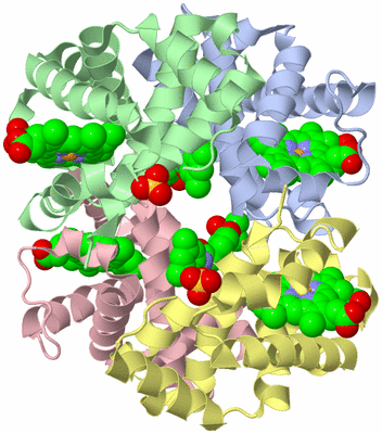 Image Asym./Biol. Unit