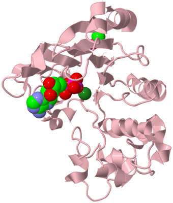 Image Biological Unit 3