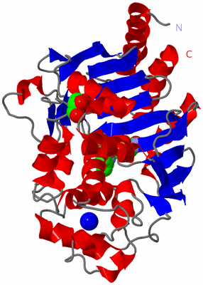 Image Asym./Biol. Unit