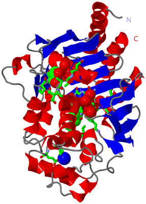 Image Asym./Biol. Unit - sites