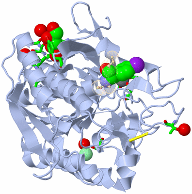 Image Asym./Biol. Unit - sites