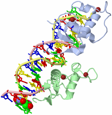 Image Biological Unit 1