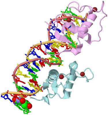 Image Biological Unit 2