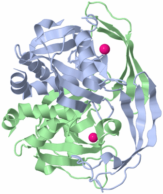 Image Asym./Biol. Unit