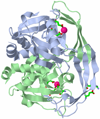 Image Asym./Biol. Unit - sites