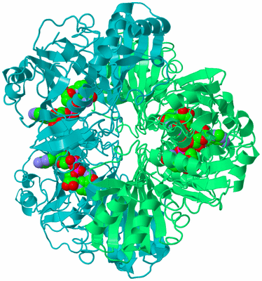 Image Biological Unit 1