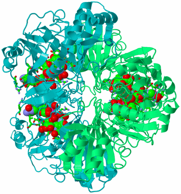 Image Biol. Unit 1 - sites