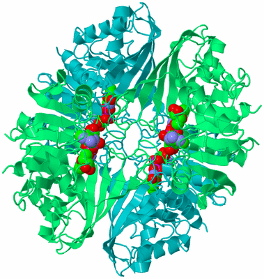 Image Biological Unit 1