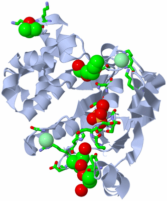 Image Biol. Unit 1 - sites