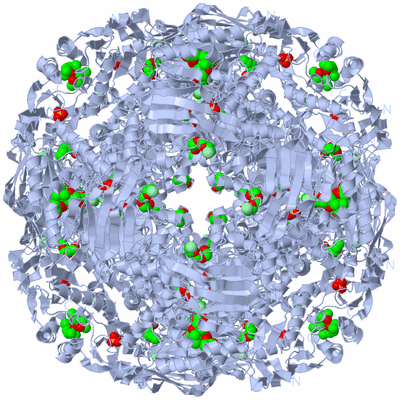 Image Biological Unit 2