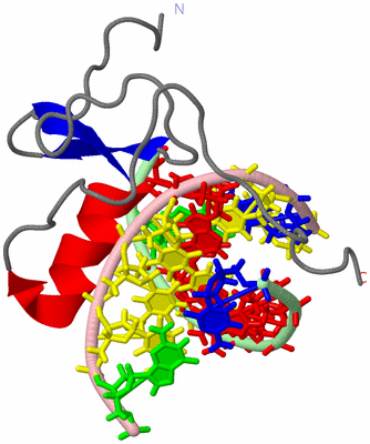 Image NMR Structure - model 1