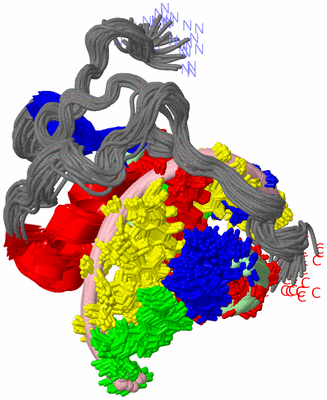 Image NMR Structure - all models