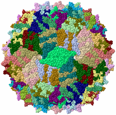 Image Biological Unit 1