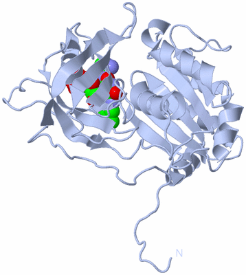 Image Biological Unit 1