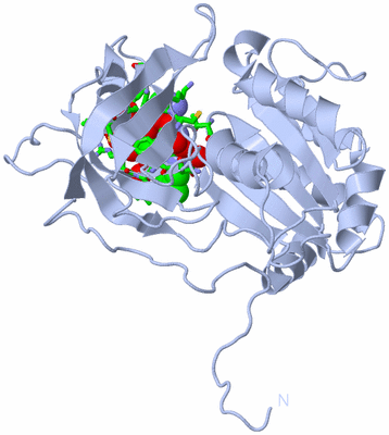 Image Biol. Unit 1 - sites