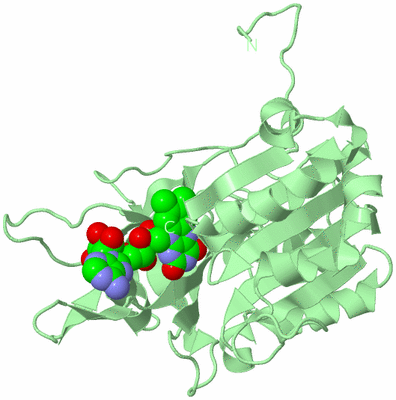 Image Biological Unit 2