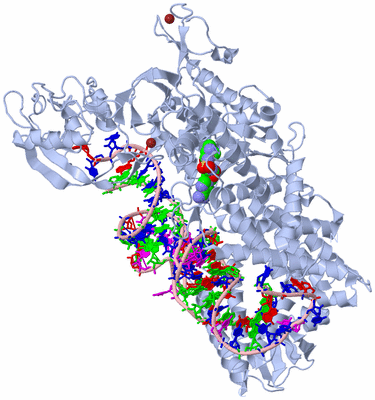 Image Biological Unit 1