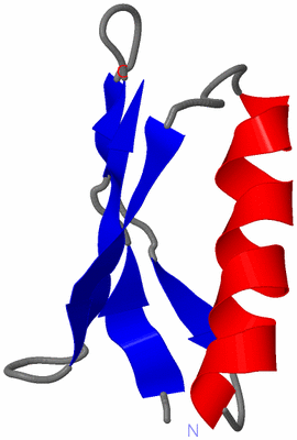 Image NMR Structure - model 1